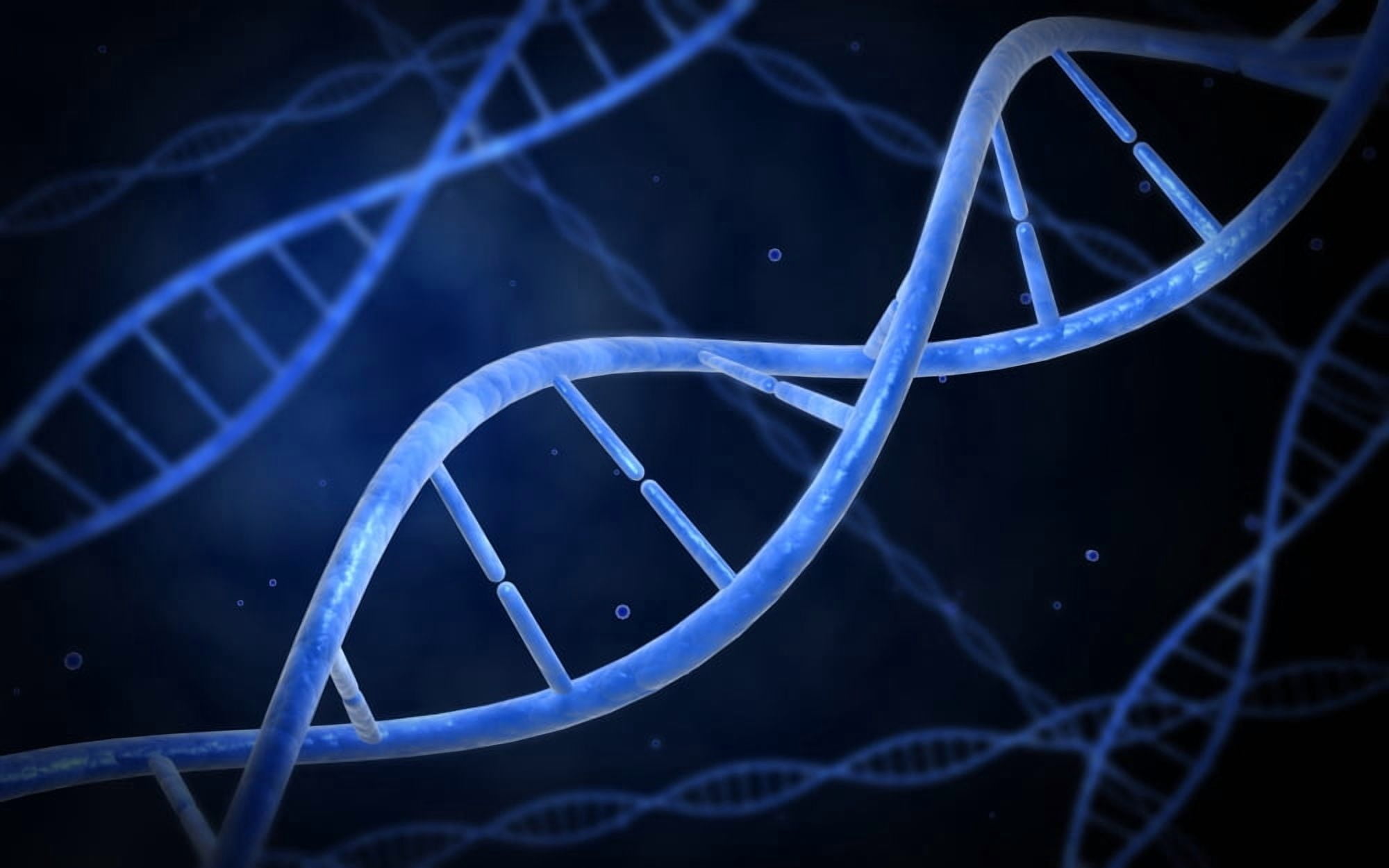 Microscopic view of DNA Canvas Art - Stocktrek Images (18 x 12)