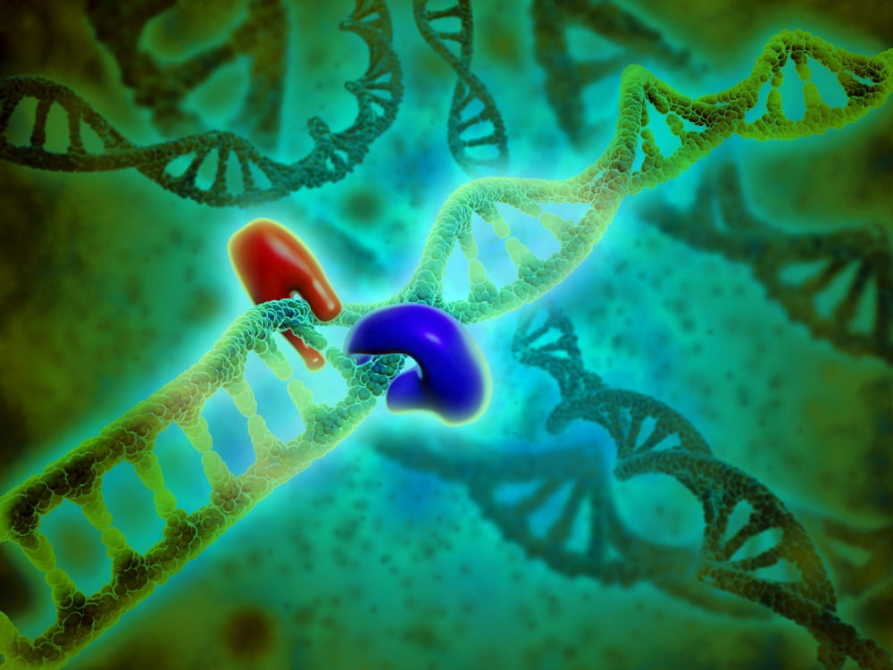 Microscopic view of DNA binding Canvas Art - Stocktrek Images (33 x 25)