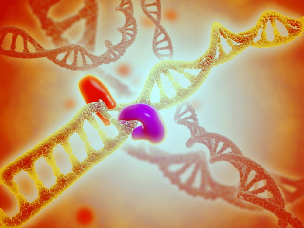 Microscopic view of DNA binding Canvas Art - Stocktrek Images (33 x 25)