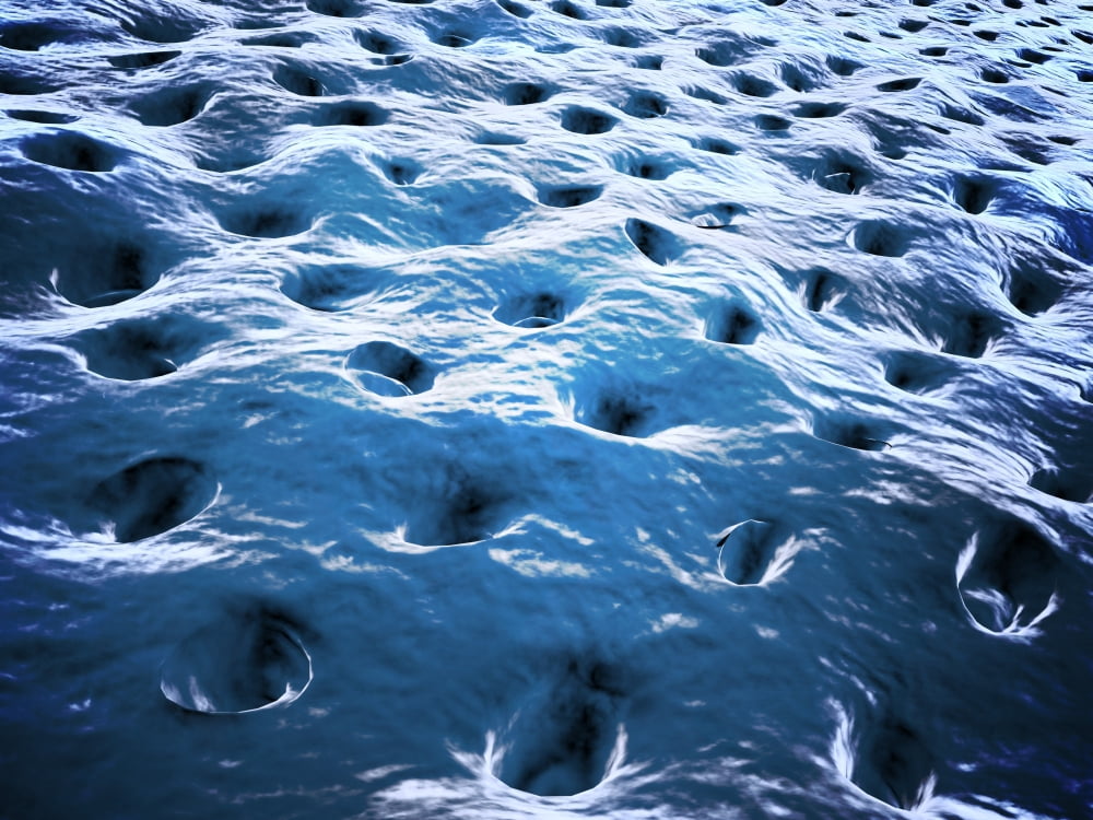 Microscopic view of Dentine Canvas Art - Stocktrek Images (33 x 25)