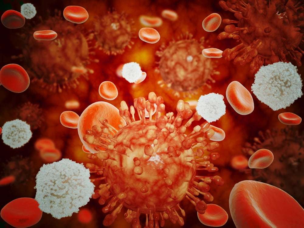 Microscopic view of H5N1 virus with red blood cells and white blood cells Canvas Art - Stocktrek Images (33 x 25)