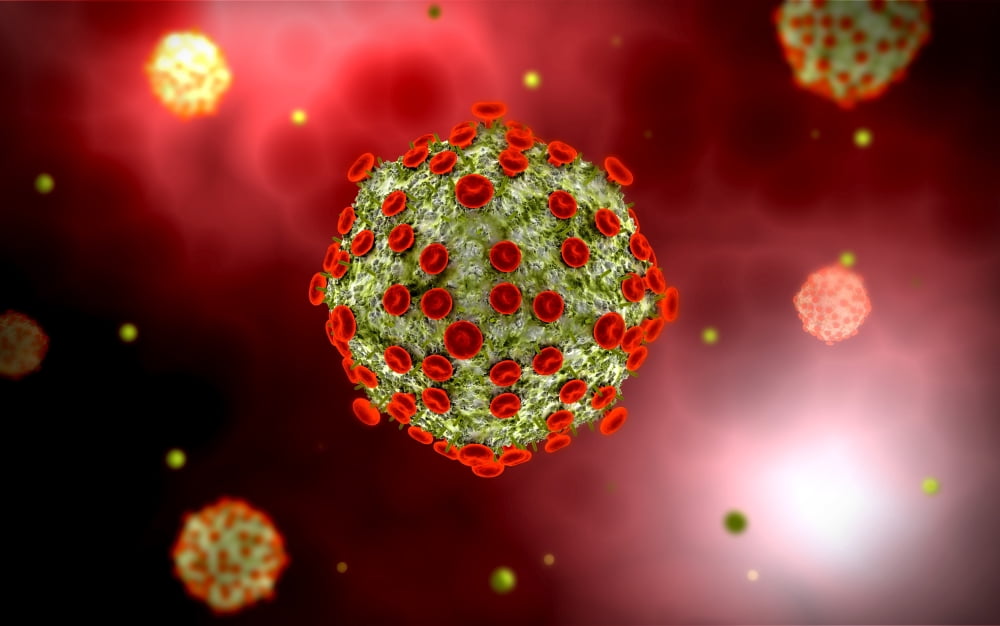 Microscopic view of HIV virus Canvas Art - Stocktrek Images (18 x 12)