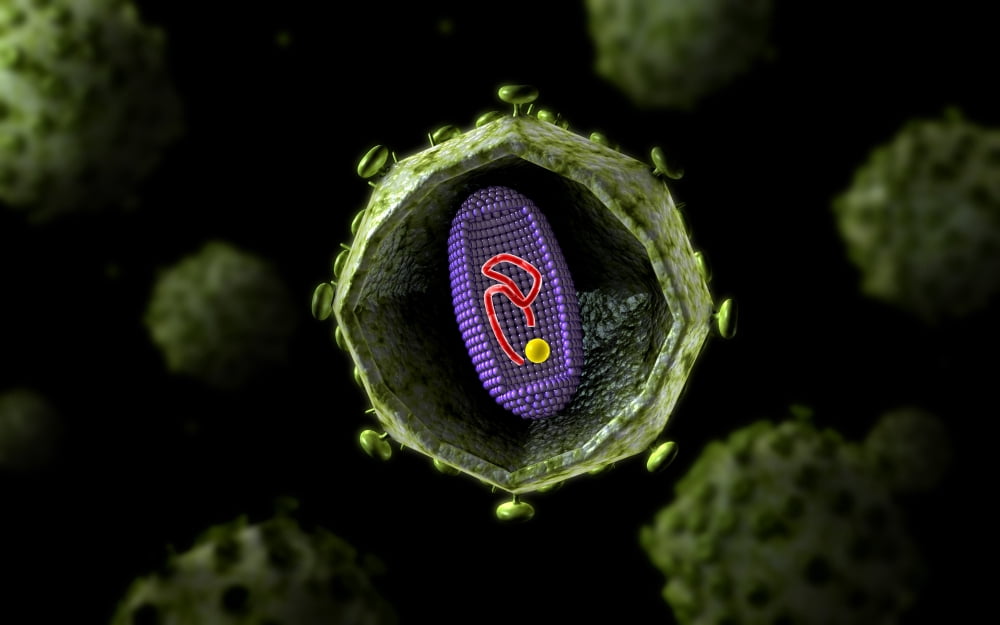 Microscopic view of HIV virus cross section Canvas Art - Stocktrek Images (18 x 12)