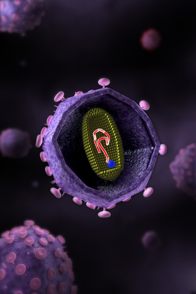 Microscopic view of HIV virus cross section Canvas Art - Stocktrek Images (24 x 35)