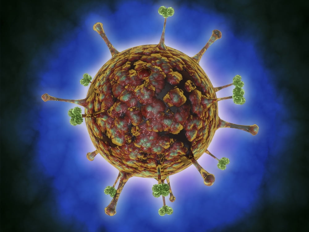 Microscopic view of Henipavirus Canvas Art - Stocktrek Images (33 x 25)