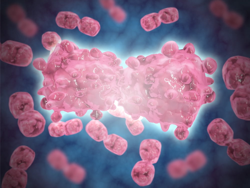 Microscopic view of a group of leukemia cells Canvas Art - Stocktrek Images (33 x 25)