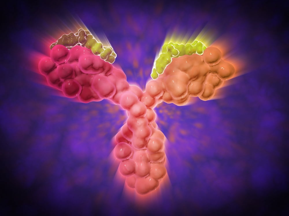 Microscopic view of a human antibody Canvas Art - Stocktrek Images (33 x 25)