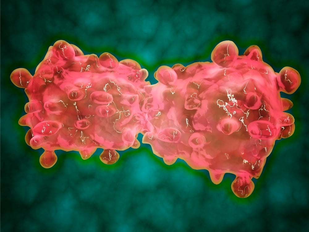 Microscopic view of a leukemia cell Canvas Art - Stocktrek Images (33 x 25)