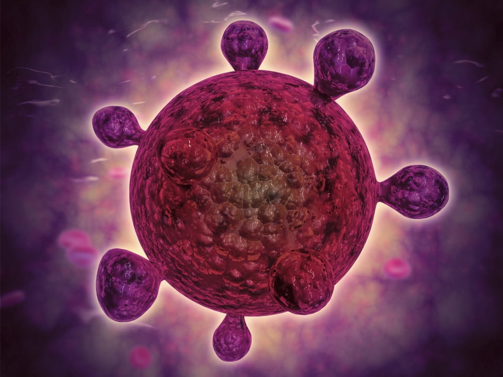 Microscopic view of a microbe Canvas Art - Stocktrek Images (33 x 25)