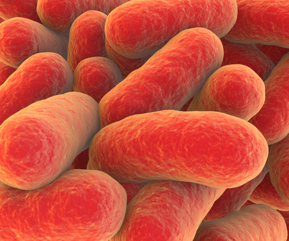 Microscopic view of bacteria Canvas Art - Stocktrek Images (32 x 26)
