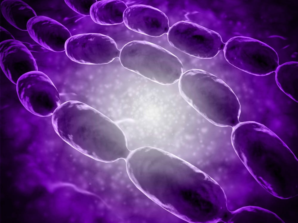 Microscopic view of bacterial pneumonia Canvas Art - Stocktrek Images (17 x 13)