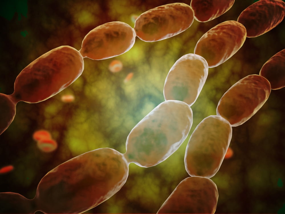 Microscopic view of bacterial pneumonia Canvas Art - Stocktrek Images (17 x 13)