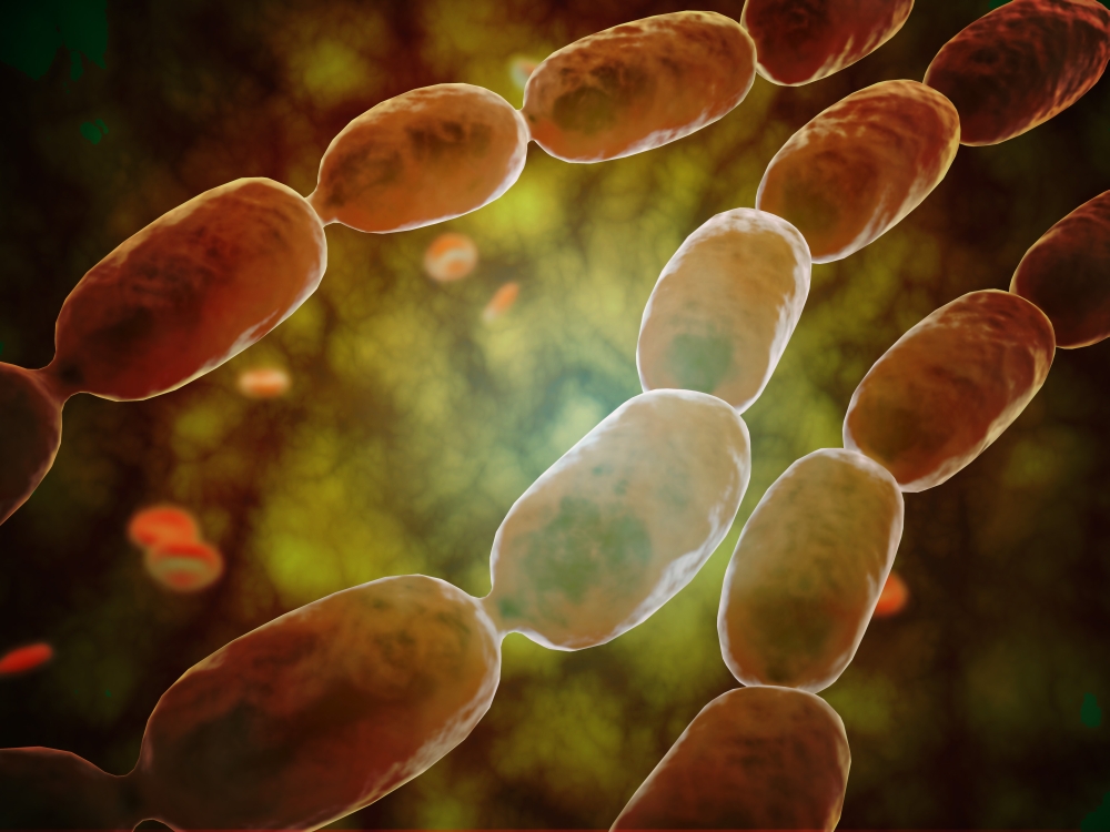 Microscopic view of bacterial pneumonia Canvas Art - Stocktrek Images (33 x 25)