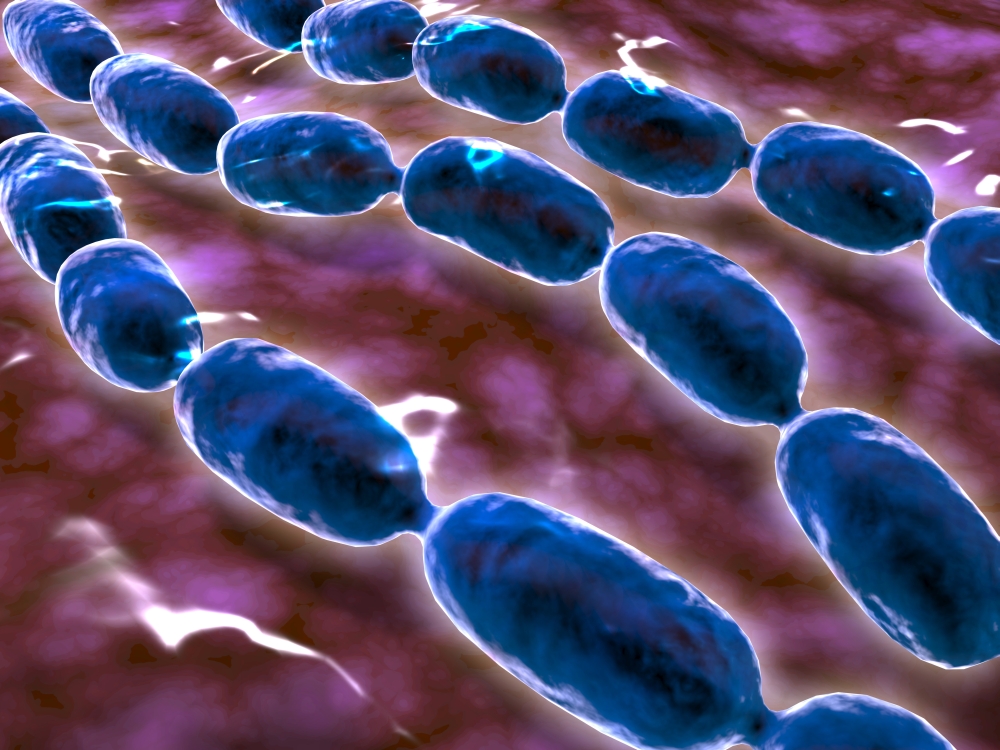 Microscopic view of bacterial pneumonia Canvas Art - Stocktrek Images (33 x 25)