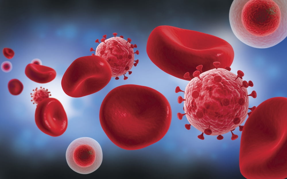 Microscopic view of blood cells with virus Canvas Art - Stocktrek Images (18 x 12)