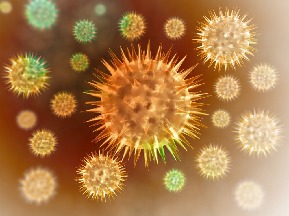 Microscopic view of cancer cells Canvas Art - Stocktrek Images (17 x 13)