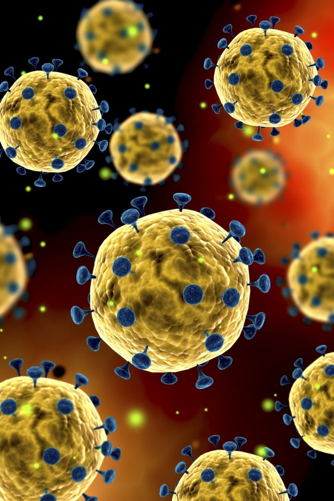 Microscopic view of coronavirus Canvas Art - Stocktrek Images (12 x 18)