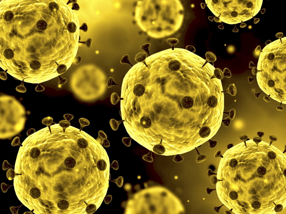 Microscopic view of coronavirus Canvas Art - Stocktrek Images (33 x 25)