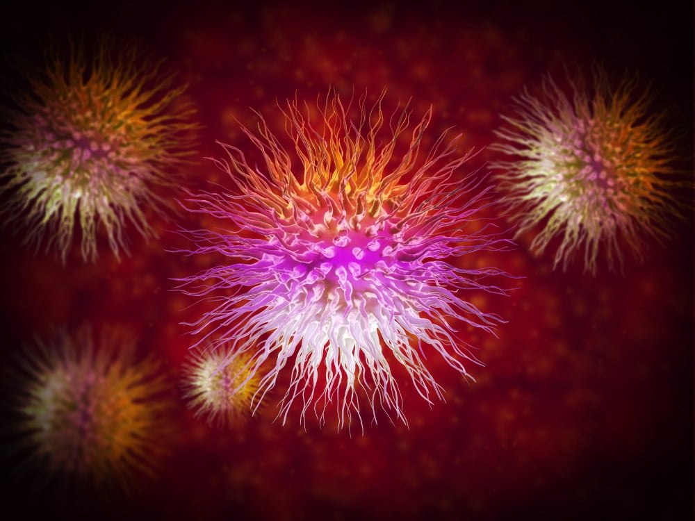 Microscopic view of dendrimers Canvas Art - Stocktrek Images (17 x 13)