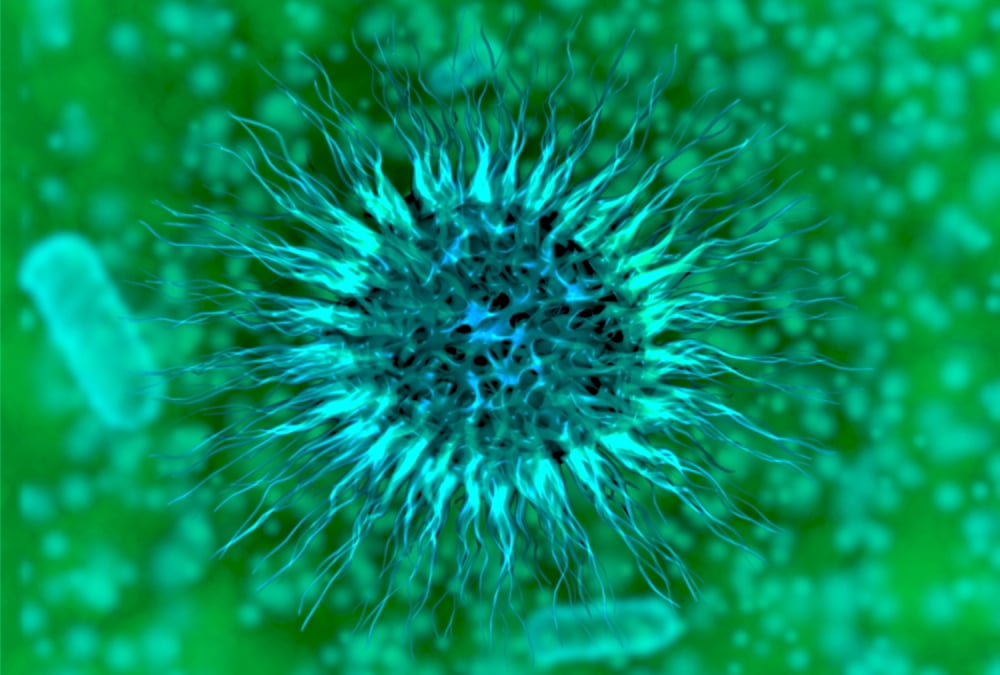 Microscopic view of dendrimers Canvas Art - Stocktrek Images (34 x 23)