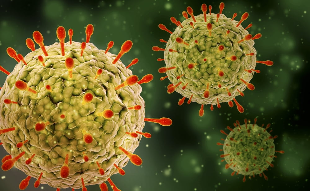 Microscopic view of herpes virus Canvas Art - Stocktrek Images (19 x 12)