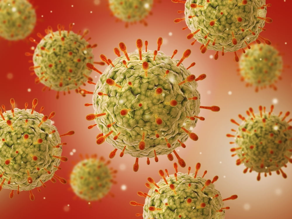 Microscopic view of herpes virus Canvas Art - Stocktrek Images (33 x 25)