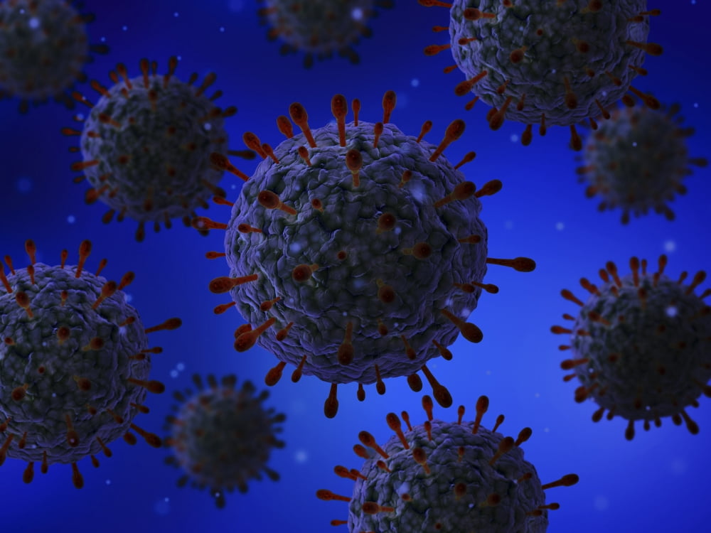 Microscopic view of herpes virus Canvas Art - Stocktrek Images (33 x 25)