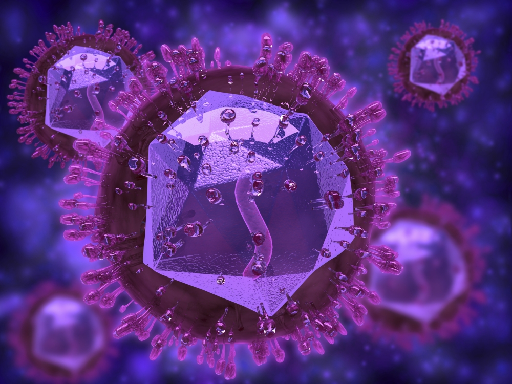Microscopic view of herpes virus Canvas Art - Stocktrek Images (33 x 25)