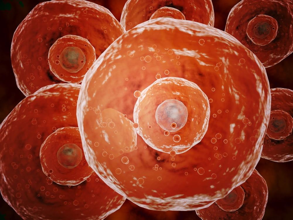 Microscopic view of human B-cells Canvas Art - Stocktrek Images (17 x 13)