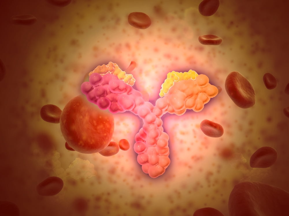 Microscopic view of human anitbodies with red blood cells Canvas Art - Stocktrek Images (17 x 13)