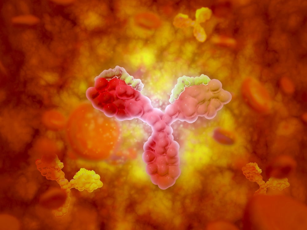 Microscopic view of human anitbodies with red blood cells Canvas Art - Stocktrek Images (17 x 13)