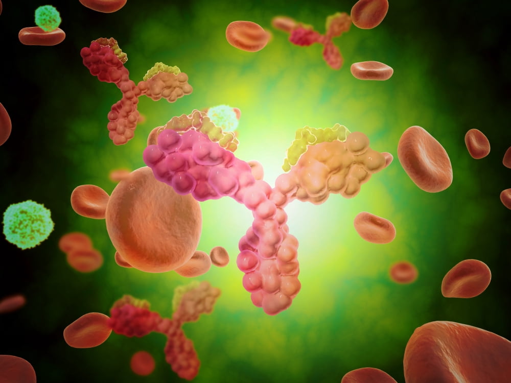 Microscopic view of human anitbodies with red blood cells Canvas Art - Stocktrek Images (17 x 13)
