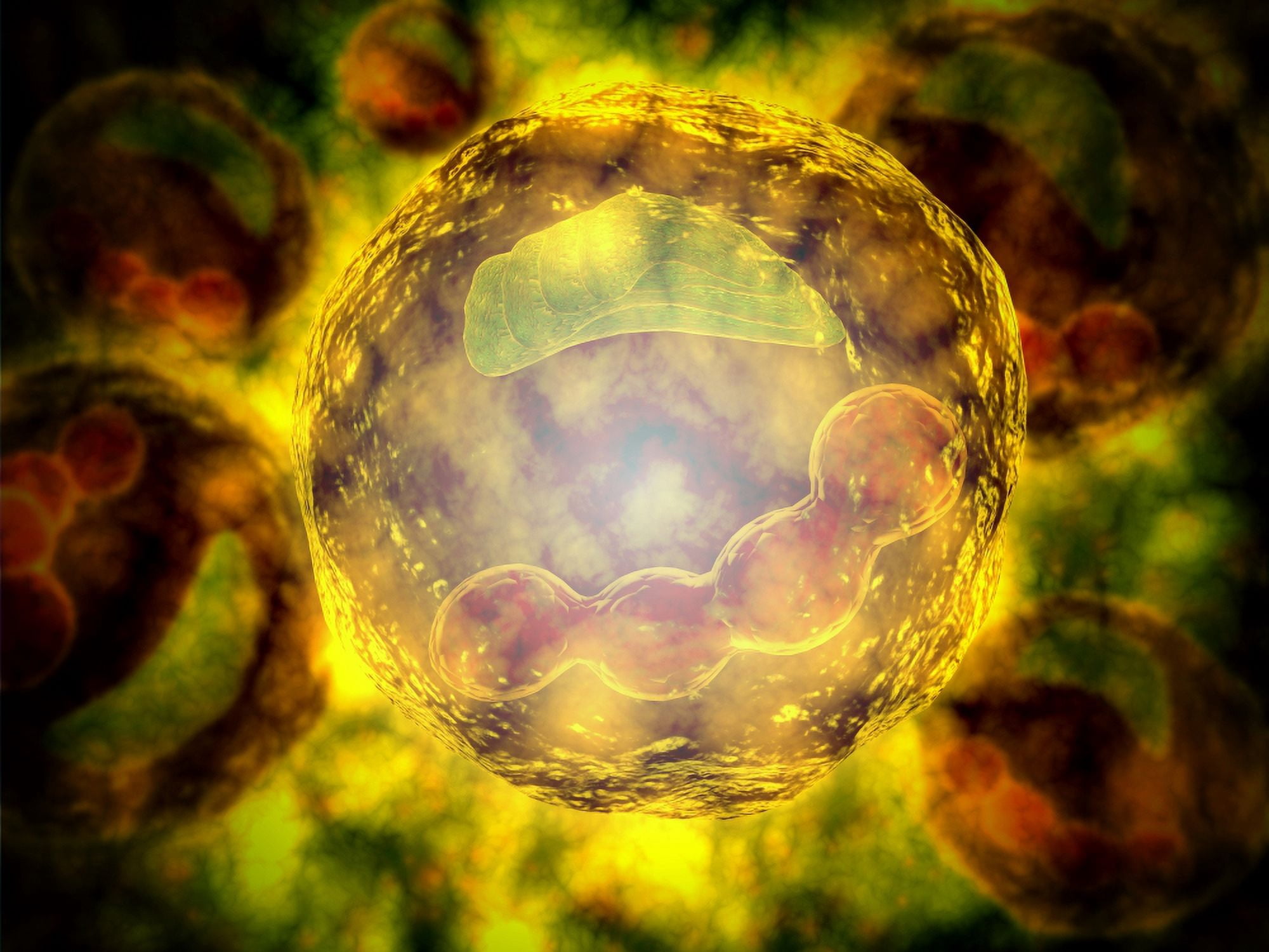 Microscopic view of human cell Canvas Art - Stocktrek Images (33 x 25)