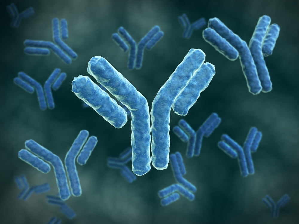Microscopic view of immunoglobulin G antibodies Canvas Art - Stocktrek Images (17 x 13)