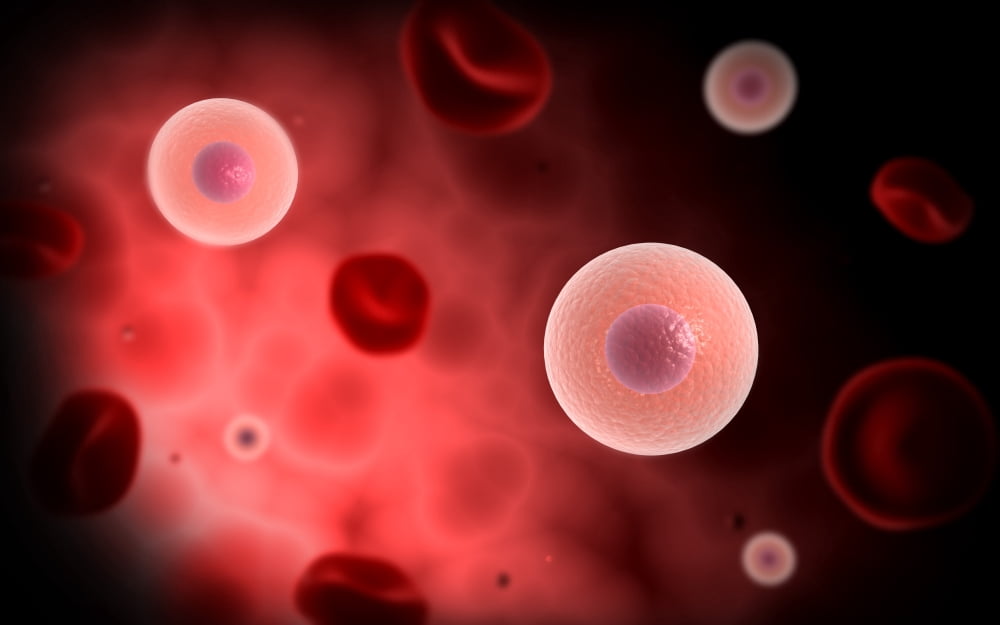 Microscopic view of plasma cell inside blood vessel Canvas Art - Stocktrek Images (36 x 23)