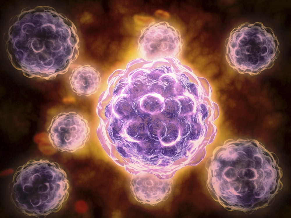 Microscopic view of poliovirus Canvas Art - Stocktrek Images (17 x 13)