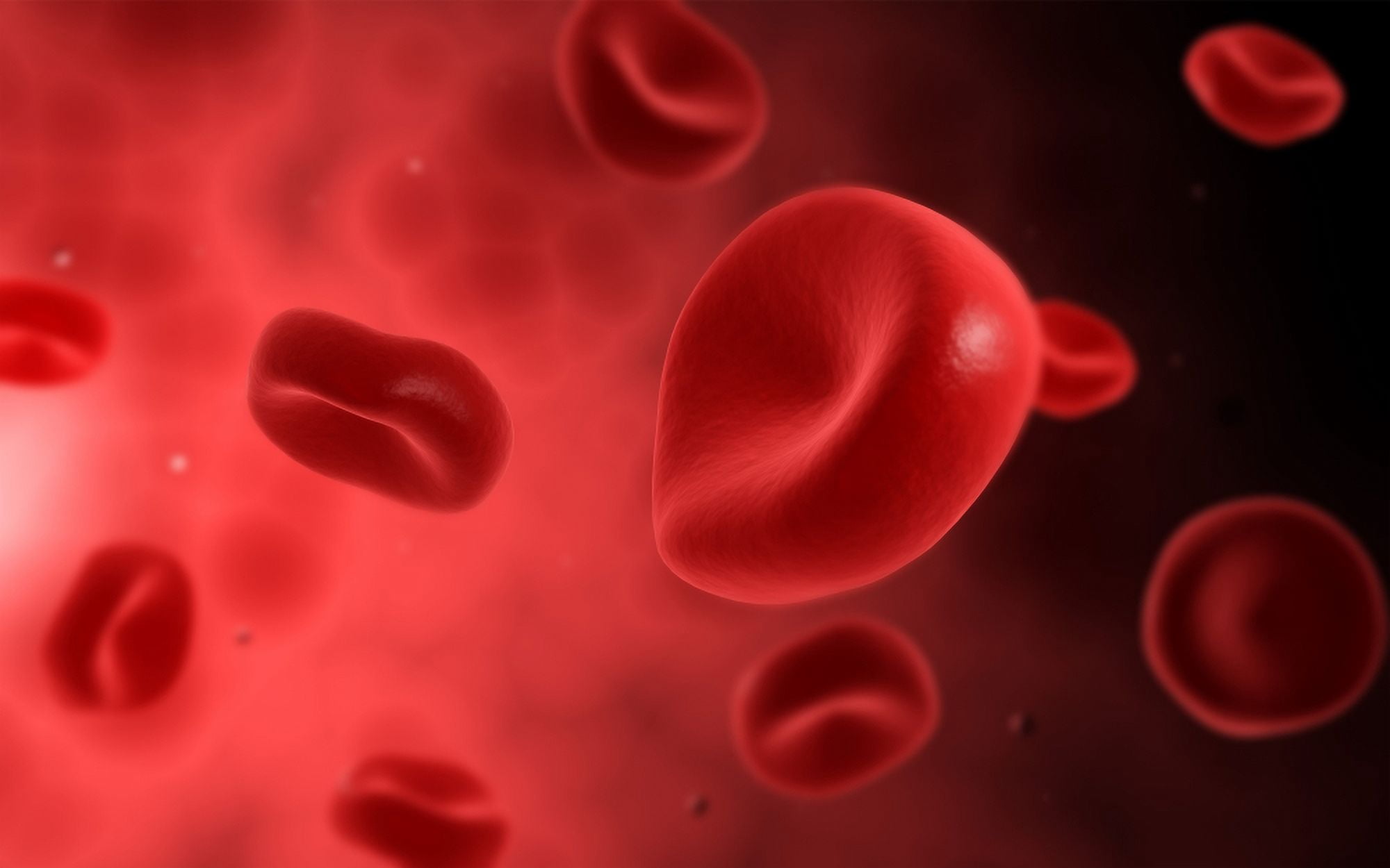 Microscopic view of red blood cells Canvas Art - Stocktrek Images (36 x 23)
