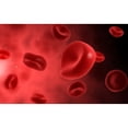 thumbnail image 1 of Microscopic view of red blood cells Poster Print, 1 of 2