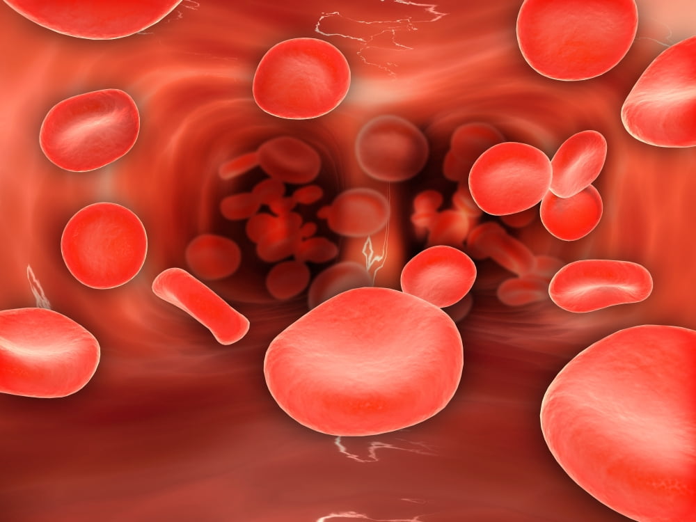Microscopic view of red blood cells flowing inside lungs Canvas Art - Stocktrek Images (33 x 25)