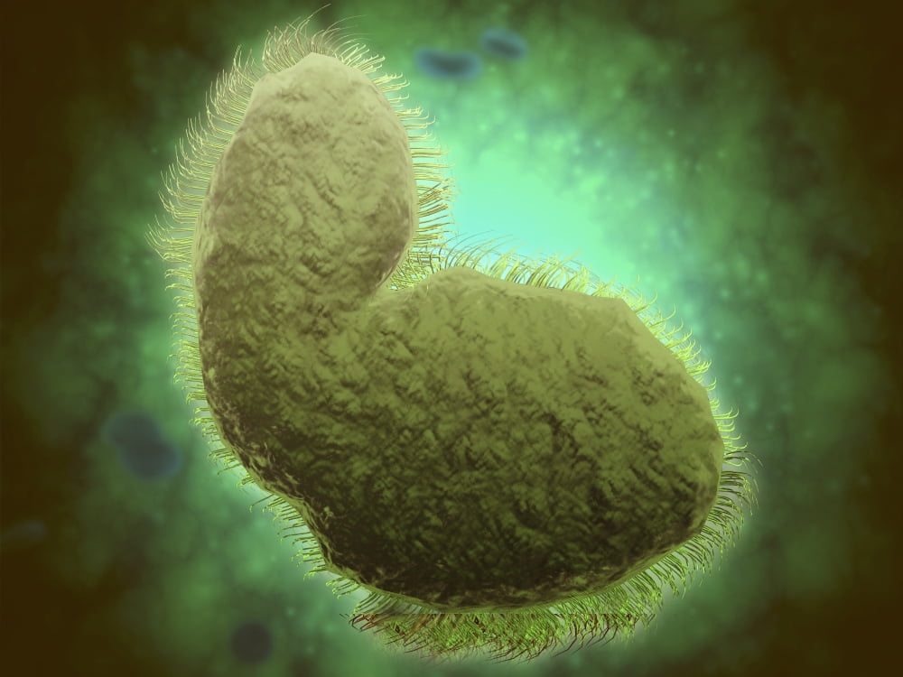 Microscopic view of respiratory syncytial virus Canvas Art - Stocktrek Images (17 x 13)