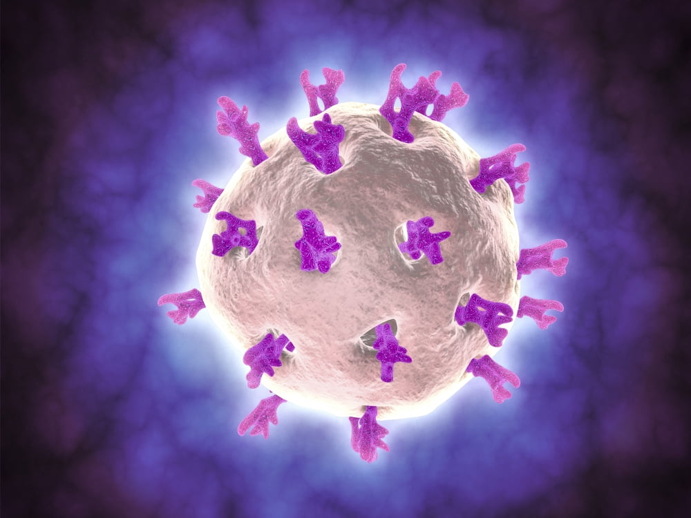 Microscopic view of rotavirus Canvas Art - Stocktrek Images (17 x 13)