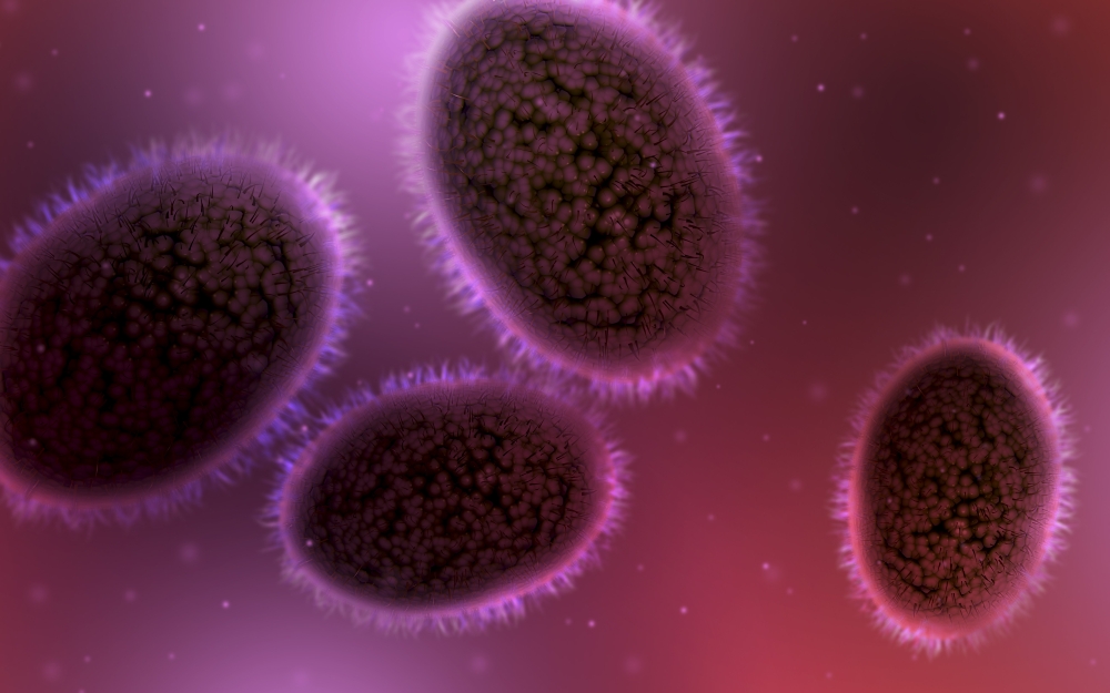 Microscopic view of samllpox Canvas Art - Stocktrek Images (36 x 23)