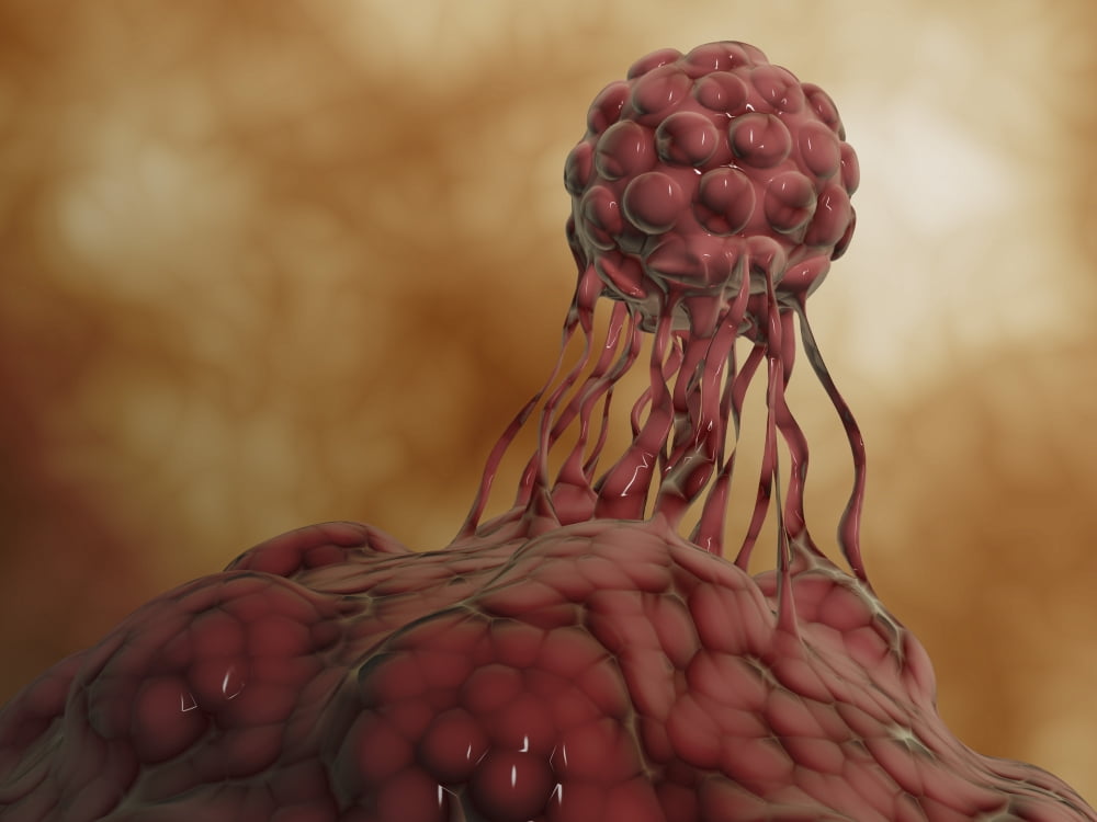 Microscopic view of stem cell development Canvas Art - Stocktrek Images (17 x 13)