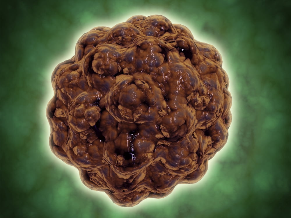 Microscopic view of the capsid protein of Nudaurelia capensis omega virus Canvas Art - Stocktrek Images (33 x 25)