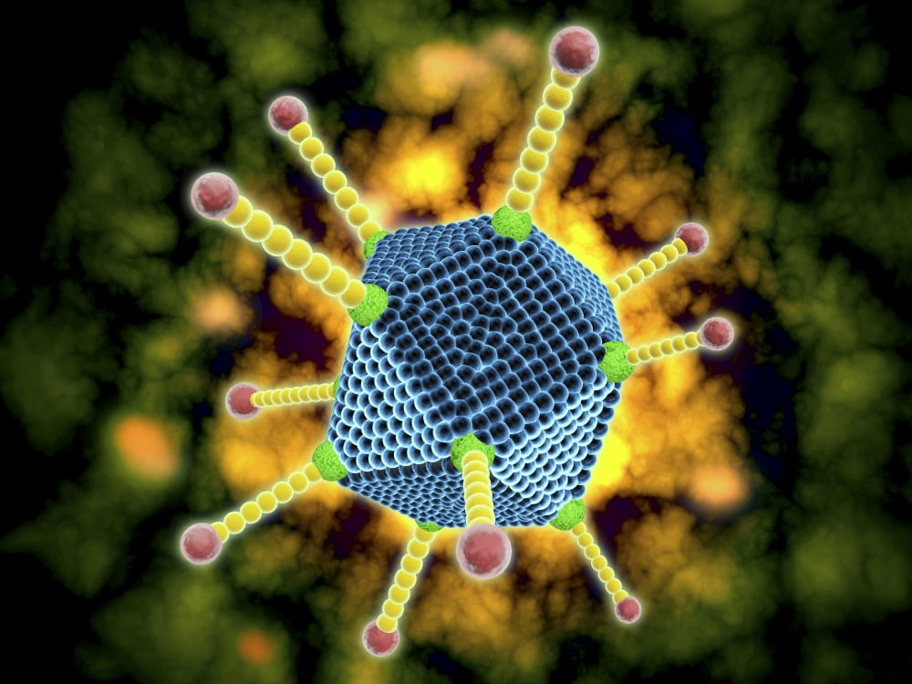 Microscopic view of the common cold virus Canvas Art - Stocktrek Images (17 x 13)