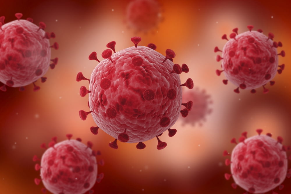 Microscopic view of virus Canvas Art - Stocktrek Images (18 x 12)