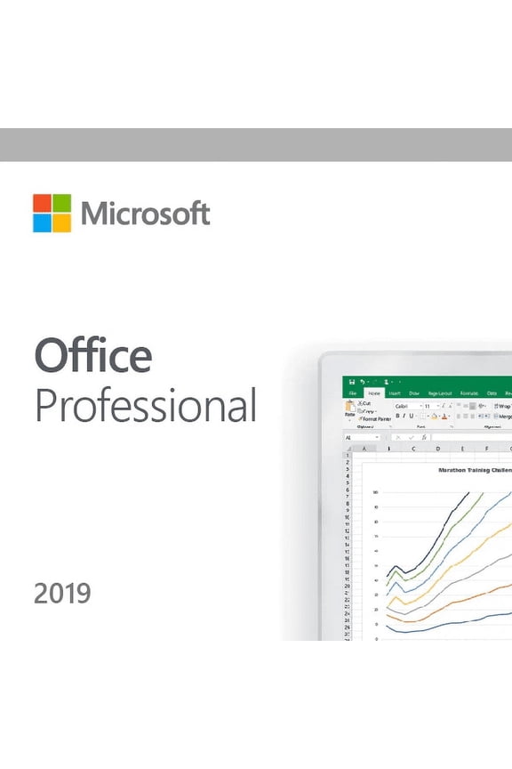 Office 2019 Pro Plus 64 BIT (DVD)