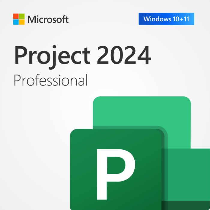 Microsoft Project Professional 2024 (Digital)- No DVD