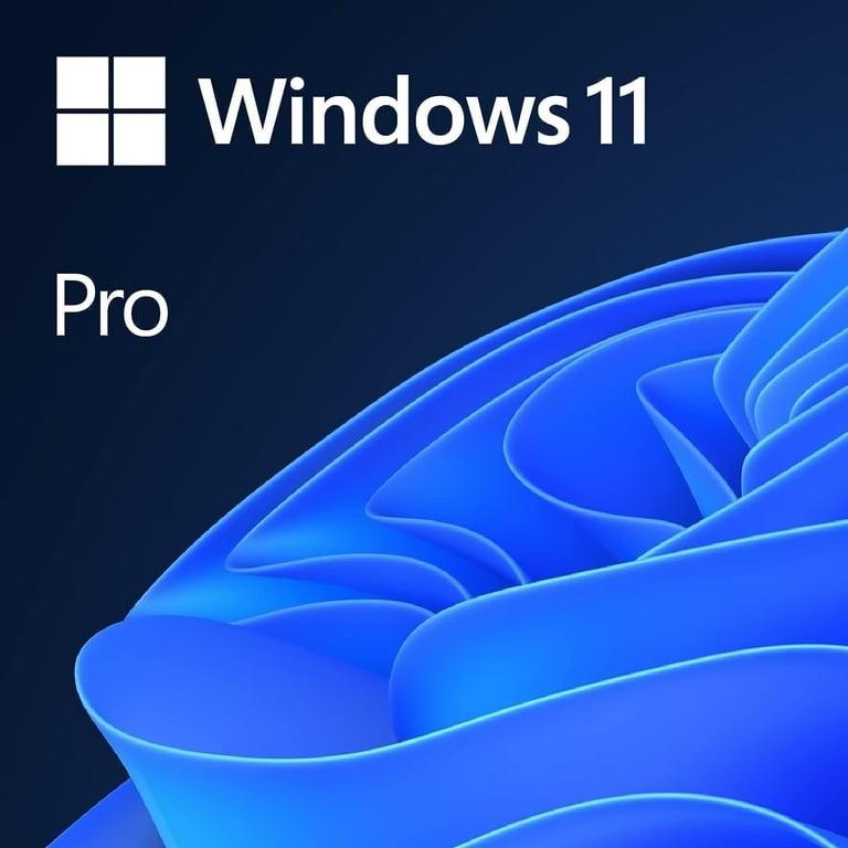 Microsoft Windows 11 Pro USB Flash Drive 1 User / 1 PC