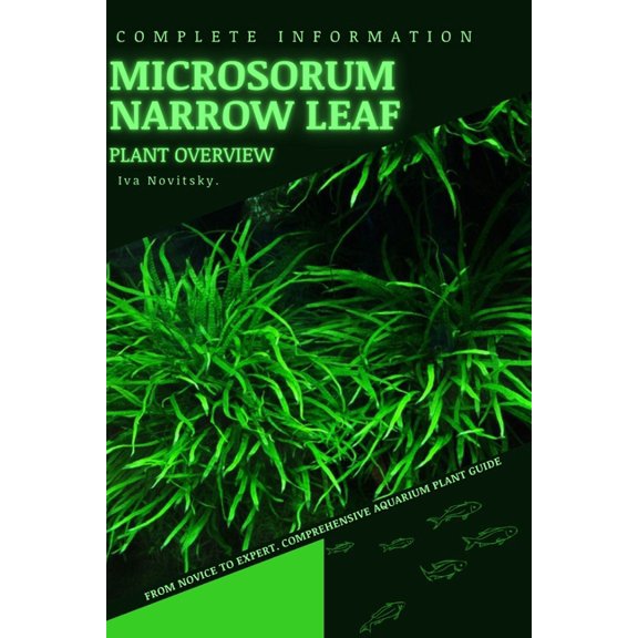 Microsorum Narrow Leaf: From Novice to Expert. Comprehensive Aquarium Plants Guide